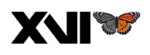 XVI