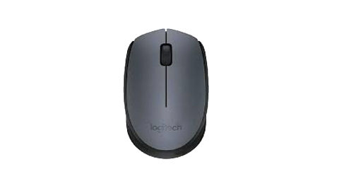 Logitech M170
