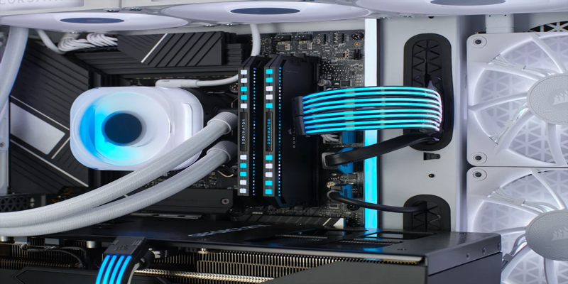 banner_800x400 (3).png