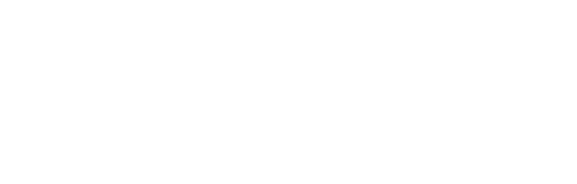 Доверься профессионалам с 25-летним проектным опытом!