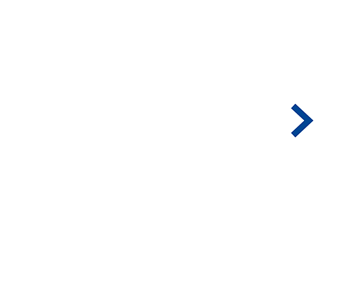 Macroscop