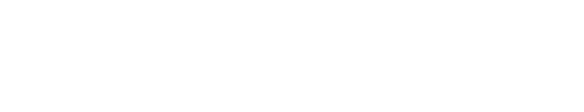 Доверься профессионала с 25-летним проектным опытом