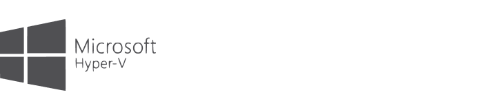 Microsoft Hyper-V Server 2019