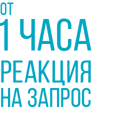 От 1 часа реакция на запрос От 1 часа реакция на запрос